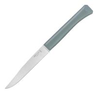 Нож столовый Opinel N°125, полимерная ручка, нерж, сталь, шалфей. 002195 002195 от прозводителя Opinel
