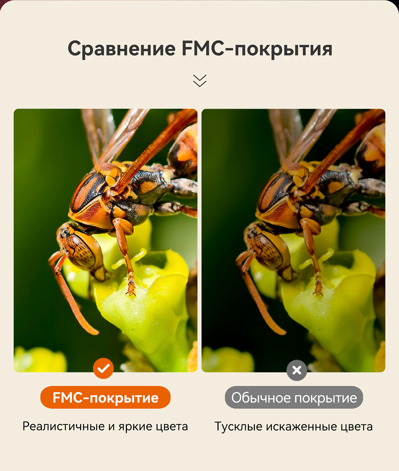 Бинокль Eyeskey Vigil - 10x42