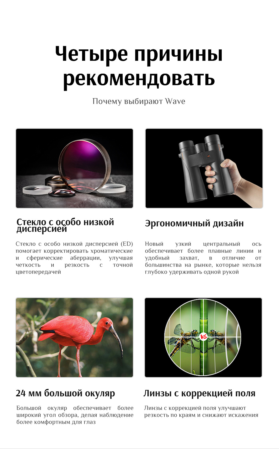 Бинокль Eyeskey Wave ED-12x50